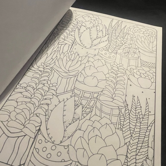 Contemporary Coloring Succulents ( coloring book )New - Picture 4 of 8